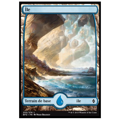 (Foil) Terrain - Île (V1) (L) [BFZ]