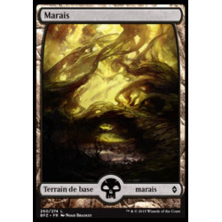 (Foil) Terrain - Marais (V1) (L) [BFZ]
