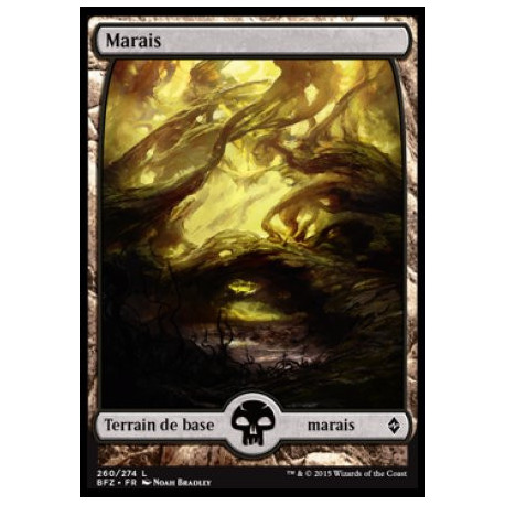 (Foil) Terrain - Marais (V1) (L) [BFZ]