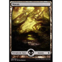 (Foil) Terrain - Marais (V1) (L) [BFZ]