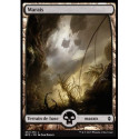 (Foil) Terrain - Marais (V2) (L) [BFZ]