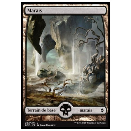 (Foil) Terrain - Marais (V3) (L) [BFZ]