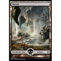 (Foil) Terrain - Marais (V3) (L) [BFZ]
