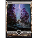 (Foil) Terrain - Marais (V4) (L) [BFZ]