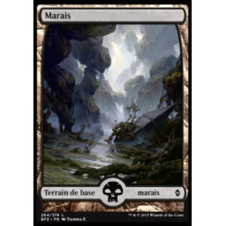 (Foil) Terrain - Marais (V5) (L) [BFZ]