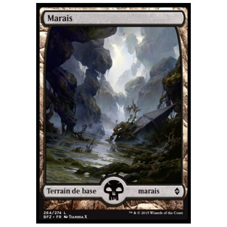(Foil) Terrain - Marais (V5) (L) [BFZ]