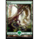 (Foil) Terrain - Forêt (V1) (L) [BFZ]
