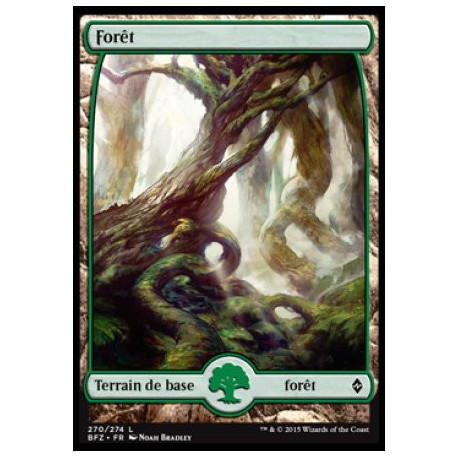 (Foil) Terrain - Forêt (V1) (L) [BFZ]