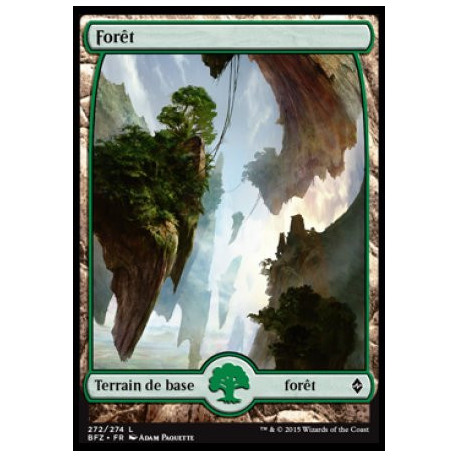 (Foil) Terrain - Forêt (V3) (L) [BFZ]