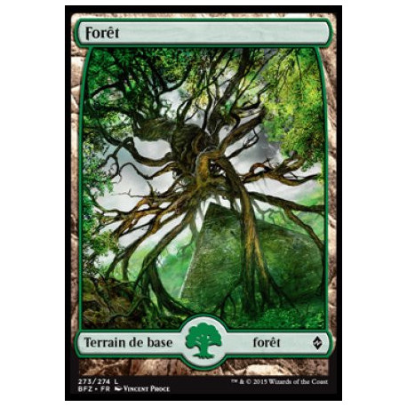 (Foil) Terrain - Forêt (V4) (L) [BFZ]