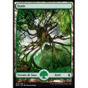 (Foil) Terrain - Forêt (V4) (L) [BFZ]