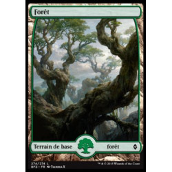 (Foil) Terrain - Forêt (V5) (L) [BFZ]