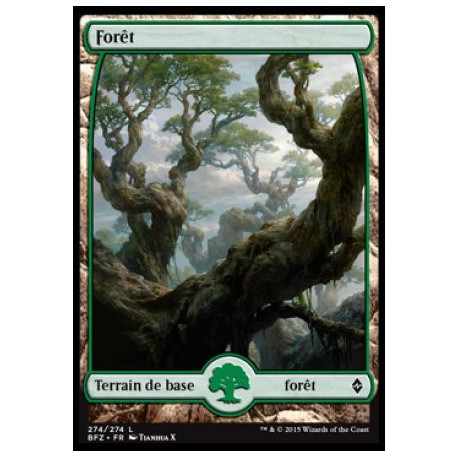 (Foil) Terrain - Forêt (V5) (L) [BFZ]
