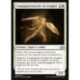 (Foil) Blanche - Compagnon bouclier du drogskol (U) [EMN]