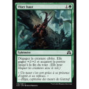 (Foil) Verte - Viser haut (C) [SOI]