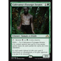 (Foil) Verte - Cultivateur d'oronges brunes (R) [SOI]