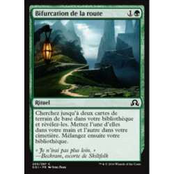(Foil) Verte - Bifurcation de la route (C) [SOI]
