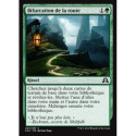(Foil) Verte - Bifurcation de la route (C) [SOI]