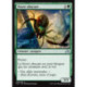 (Foil) Verte - Veuve obscure (U) [SOI]