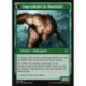 (Foil) Verte - Ermite de Montbabil // Loup solitaire de Montbabil (U) [SOI]