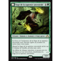 (Foil) Verte - Sage de la sapience ancestrale // Loup-garou de la faim ancestrale (R) [SOI]