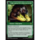 (Foil) Verte - Sage de la sapience ancestrale // Loup-garou de la faim ancestrale (R) [SOI]