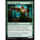 (Foil) Verte - Architecte stoïque (C) [SOI]