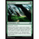 (Foil) Verte - Bois bizarre (U) [SOI]
