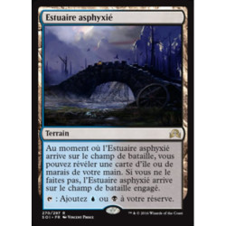 (Foil) Terrain - Estuaire asphyxié (R) [SOI]