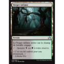(Foil) Terrain - Verger infâme (U) [SOI]
