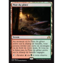 (Foil) Terrain - Piste du gibier (R) [SOI]