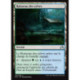 (Foil) Terrain - Ruisseau des sylves (U) [SOI]