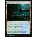 (Foil) Terrain - Ruisseau des sylves (U) [SOI]