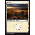 (Foil) Terrain - Plaine (V1) (L) [SOI]
