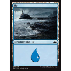 (Foil) Terrain - Île (V1) (L) [SOI]