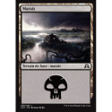 (Foil) Terrain - Marais (V1) (L) [SOI]