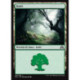 (Foil) Terrain - Forêt (V1) (L) [SOI]
