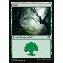 (Foil) Terrain - Forêt (V1) (L) [SOI]