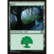 (Foil) Terrain - Forêt (V2) (L) [SOI]