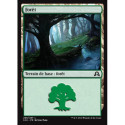 (Foil) Terrain - Forêt (V2) (L) [SOI]