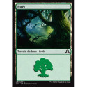 (Foil) Terrain - Forêt (V3) (L) [SOI]