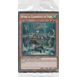 Wynn la Charmeuse de Vent (SE) [CH02]