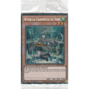 Wynn la Charmeuse de Vent (SE) [CH02]