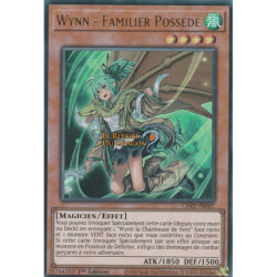 Wynn - Familier Possédé (UR) [CH02]