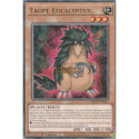Taupe Eucalyptus (R) [MZMU]