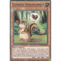 Écureuil Oubliplanque (R) [MZMU]