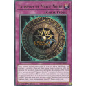 Talisman de Magie Noire (R) [MZMU]