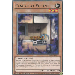 Cancrelat Volant (R) [MZMU]