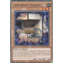 Cancrelat Volant (R) [MZMU]