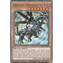 Dragon Absorouteur (R) [MZMU]